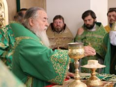 Митрополит Ириней возглавил торжества общины в честь преподобного Серафима Саровского г. Днепра