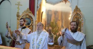 Митрополит Ириней возглавил Божественную литургию в праздник Рождества Христова 2020 года